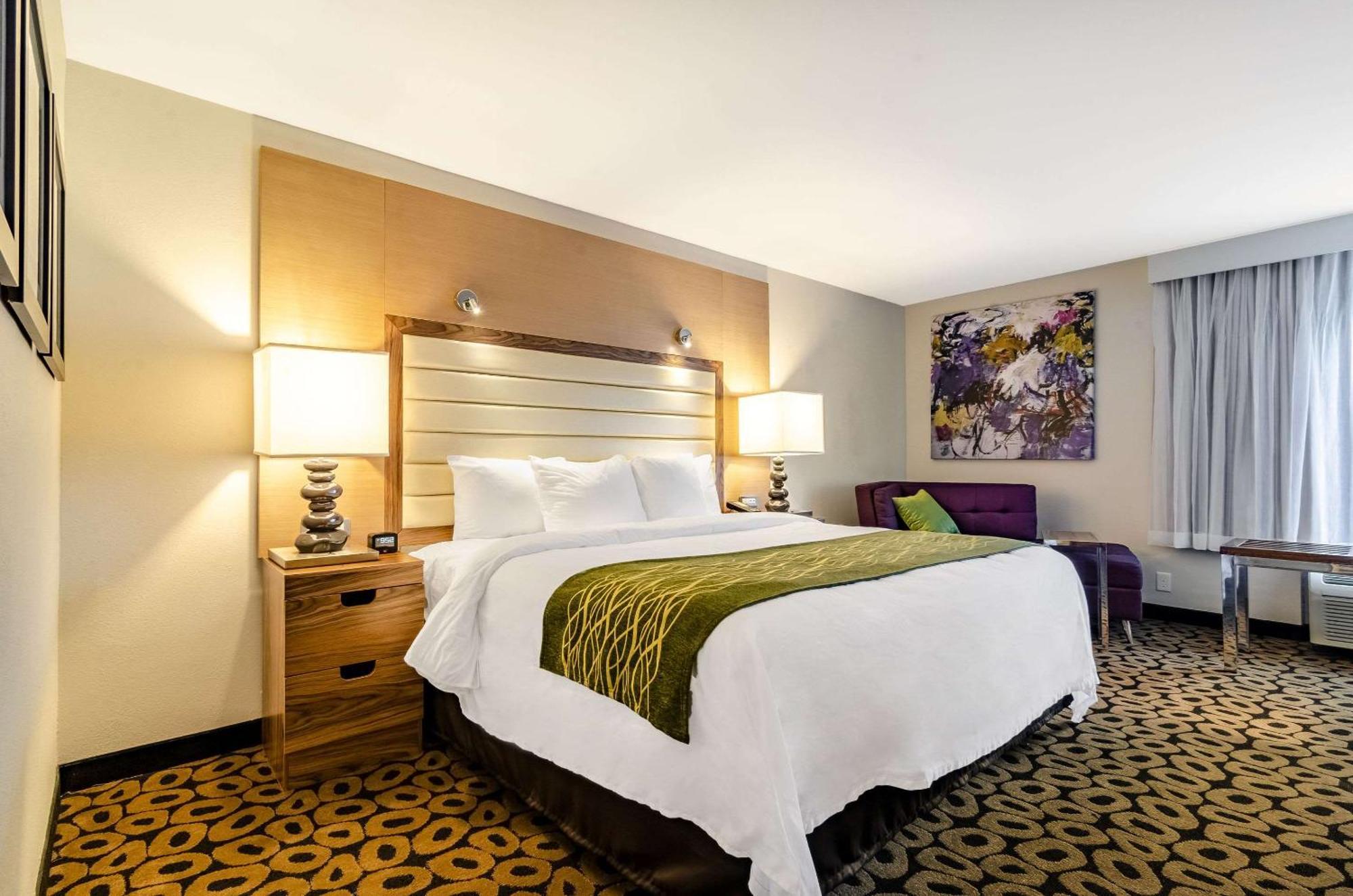 Comfort Inn Raleigh Midtown Exterior photo