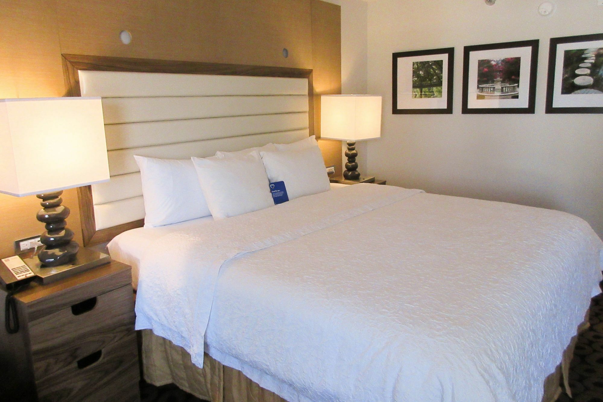 Comfort Inn Raleigh Midtown Exterior photo
